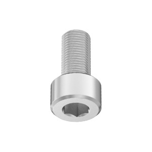 A2 Socket Head Screw M5 x 0.50 mm Thread size, 10 mm Long图3